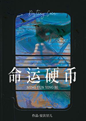 命运硬币 命运硬币