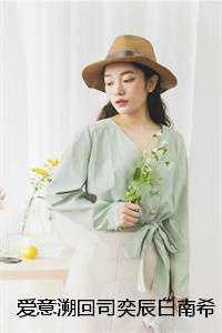 爱意溯回司奕辰白南希 爱意溯回司奕辰白南希