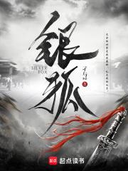 银狐 银狐